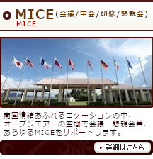 ���ե��ƥ饹