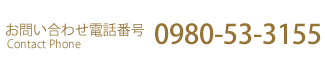 䤤碌ֹ桡0980-53-3155